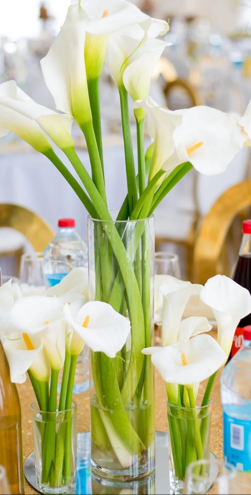 Réalisation Mariage DDAY Events 2